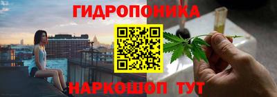 СК Донецк