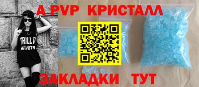 дмт Донской
