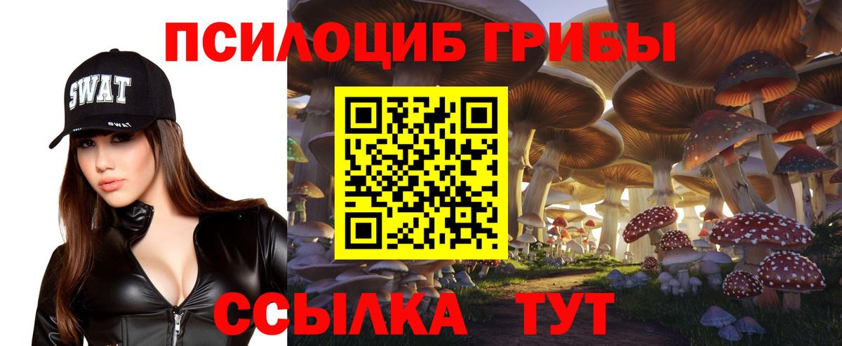 Псилоцибиновые грибы MAGIC MUSHROOMS  Вход с VPN  Мирный 